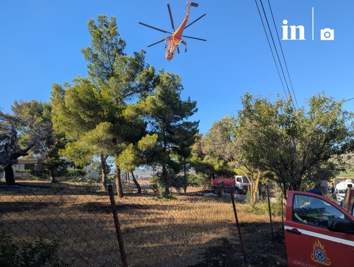 Φωτιά: Δεκάδες απεγκλωβισμοί και εκατοντάδες απομακρύνσεις από τα πύρινα μέτωπα – «Δυσκολότερες οι επόμενες ημέρες»