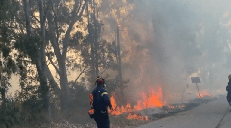 Δύο συλλήψεις για τις φωτιές σε Βουρβουρού Χαλκιδικής και Ωραιόκαστρο
