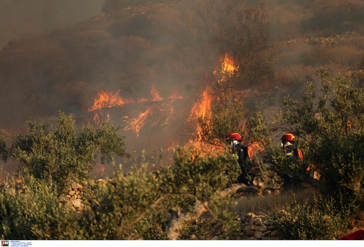 Συναγερμός για επιδείνωση των πυρομετεωρολογικών συνθηκών έως τις 20 Ιουλίου