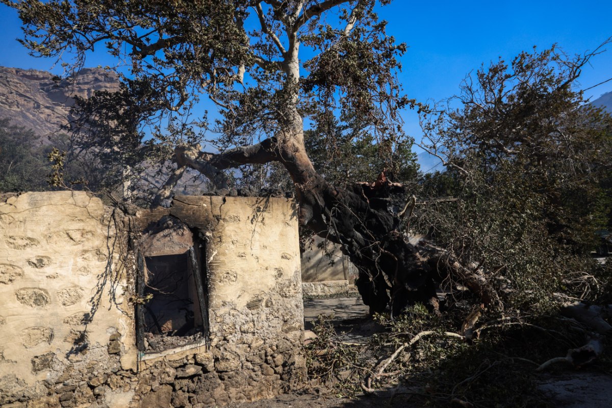 Ιεράπετρα: Στάχτη χιλιάδες στρέμματα – Διάσπαρτες εστίες φωτιάς και μάχη με τις αναζωπυρώσεις
