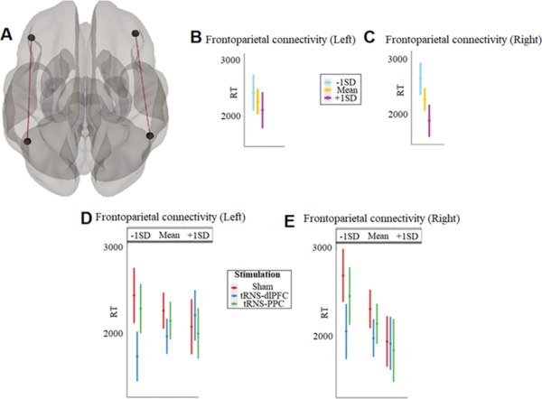Βρετανία: Η νευροδιέγερση του εγκεφάλου μπορεί να βελτιώσει τις επιδόσεις στα μαθηματικά