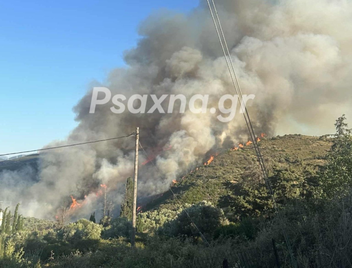 Φωτιά στα Μεσοχώρια στην Εύβοια – Σηκώθηκαν 18 εναέρια μέσα – Ήχησε το 112