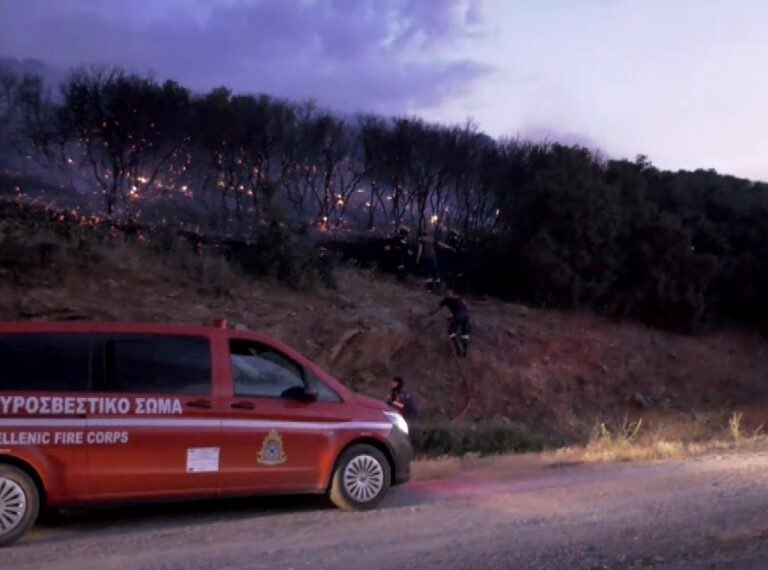 Σε ύφεση η φωτιά σε δασική έκταση στο Ωραιόκαστρο