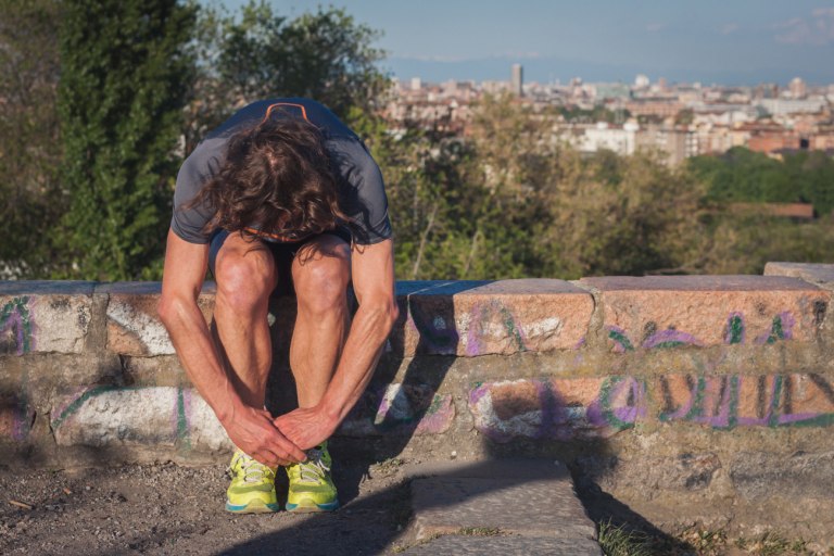 Είναι τα «αρσενικά άλφα» ένας μύθος; – Για τα περισσότερα πρωτεύοντα, η απάντηση είναι «ναι»