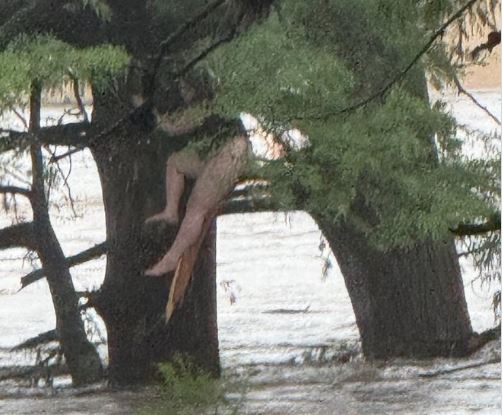 Τέξας: Νεαρή σκαρφάλωσε σε δέντρο για να γλιτώσει από τις φονικές πλημμύρες