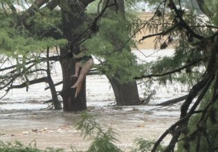 Τέξας: Τουλάχιστον 24 οι νεκροί από τις πλημμύρες – Αγωνία για αρκετούς αγνοούμενους