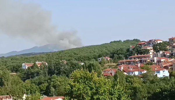 Θεσσαλονίκη: Φωτιά στο δάσος του Φιλύρου – Μεγάλη κινητοποίηση της Πυροσβεστικής – Ήχησε το 112