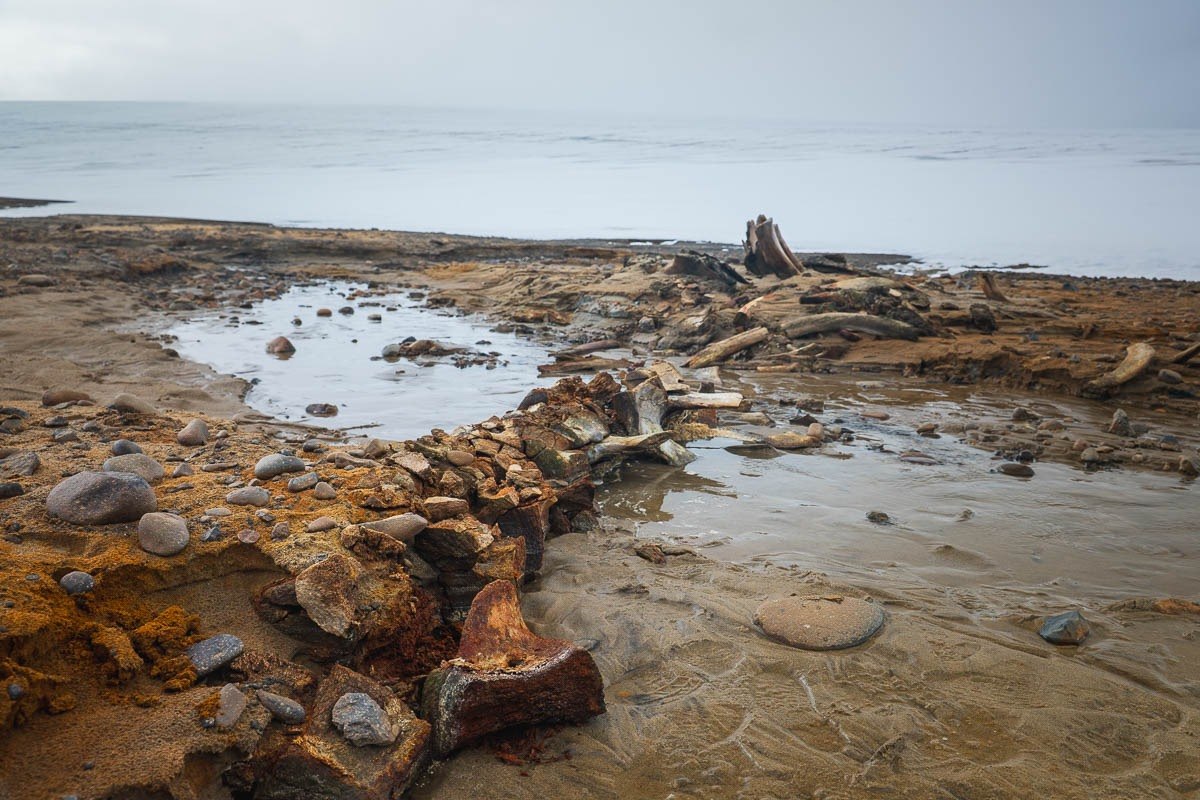 Παγετώνας  που λιώνει στην Αρκτική αποκάλυψε αρχαίο «νεκροταφείο φαλαινών»