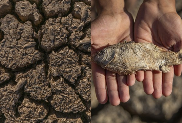 Τουρκία: Λίμνη στέρεψε λόγω της ξηρασίας και της ακραίας ζέστης