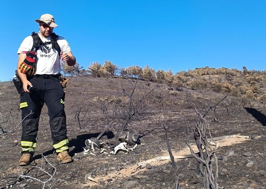 Ομάδα του WWF πραγματοποιεί αυτοψίες στις καμμένες εκτάσεις (Ηλίας Τζιρίτης/WWF)