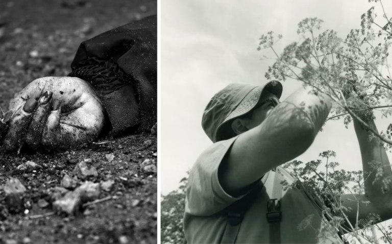 Πώς εντοπίζονται δολοφόνοι «διαβάζοντας» δέντρα και φυτά – Μια σωτήρια τέχνη προς εξαφάνιση