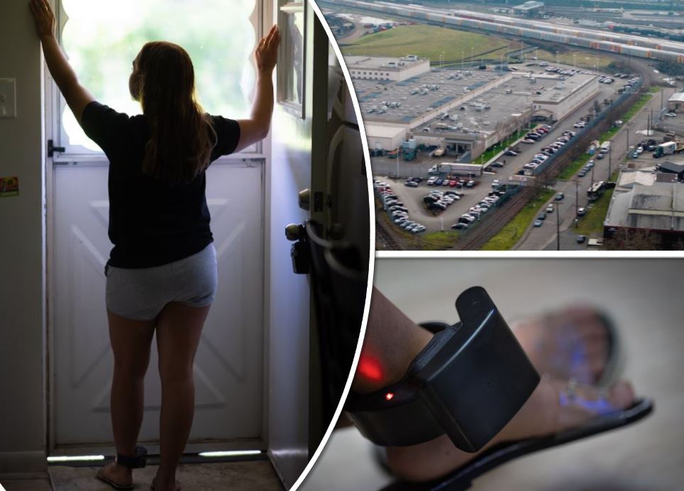 Οργή για τα «ψηφιακά κλουβιά» του Τραμπ