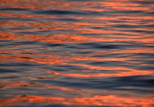 «Η Μεσόγειος βράζει»: Η θερμοκρασία της επιφάνειας της θάλασσας στο υψηλότερο σημείο που έχει καταγραφεί