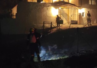 Σαλαμίνα: Βίντεο από τη φωτιά που έφτασε σε αυλές σπιτιών – «Είχαν γλέντι, έριξαν πυροτεχνήματα»