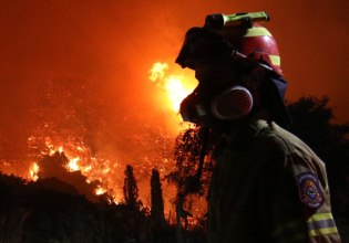 Πυρκαγιές: «Η αντιπυρική περίοδος μεγαλώνει», προειδοποιεί ο Λαγουβάρδος – Οι πολλαπλές απειλές για τα ελληνικά δάση