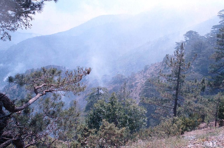Αναβολή στη δίκη του φερόμενου εμπρηστή από αμέλεια στα Γρεβενά