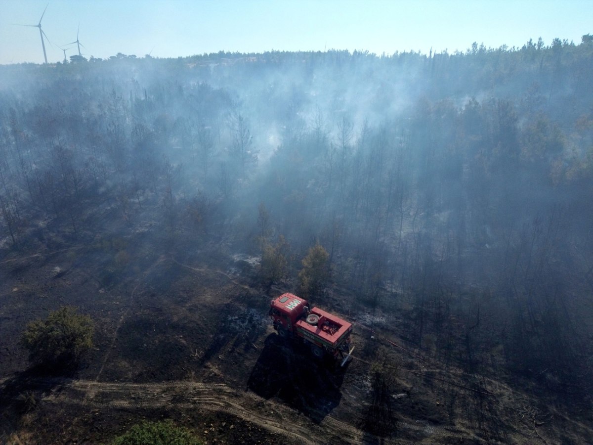 Κολυδάς: Η φωτιά στα Δαρδανέλια «πνίγει» με καπνό και καμένο αέρα σχεδόν όλο το Αιγαίο