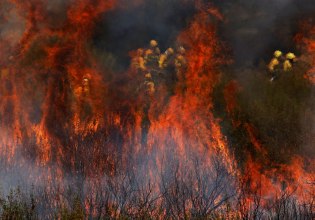 Ισπανία: Μάχη με τις φλόγες σε 14 μέτωπα – Στους επτά οι νεκροί