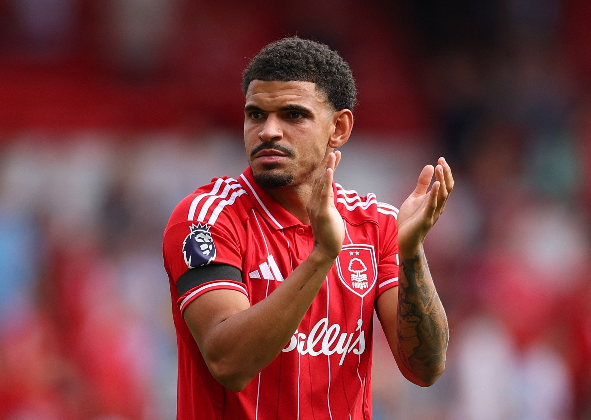 Στον «μαγικό» κόσμο των Γκιμπς Γουάιτ – Άντερσον