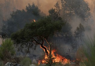 Πορτογαλία: Οι ζημιές από την μεγαλύτερη δασική πυρκαγιά που έχει καταγραφεί ποτέ στη χώρα