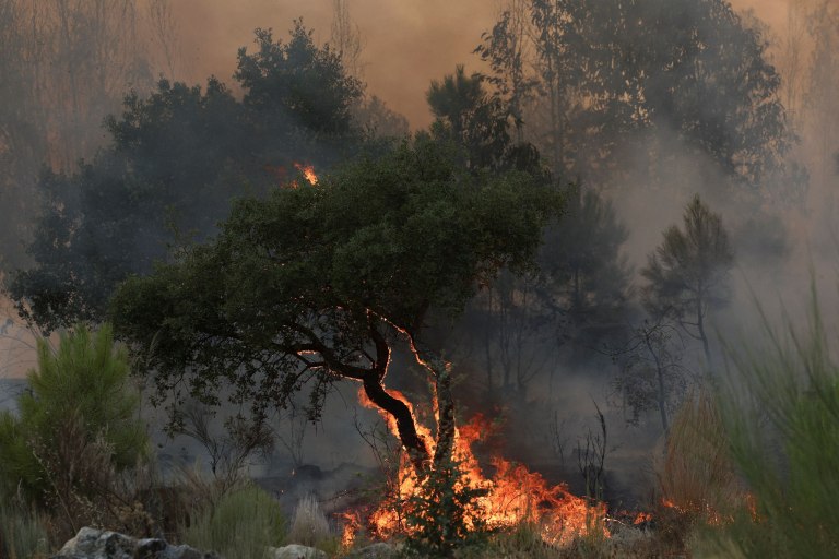 Πορτογαλία: Οι ζημιές από την μεγαλύτερη δασική πυρκαγιά που έχει καταγραφεί ποτέ στη χώρα