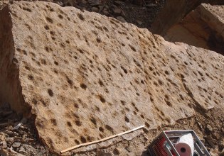 Απολιθωμένα ίχνη 400 εκατ. ετών ίσως δημιουργήθηκαν από τα πρώτα ψάρια που βγήκαν στην ξηρά