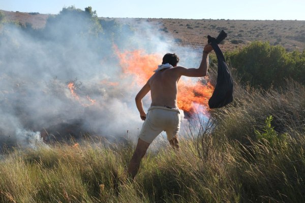 Πυρκαγιές: Συναγερμός σε Αττική και άλλες πέντε περιφέρειες λόγω των ισχυρών ανέμων