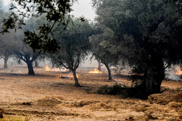 Φωτιά στο Πηγάδι Ηλείας – Σηκώθηκαν εναέρια μέσα