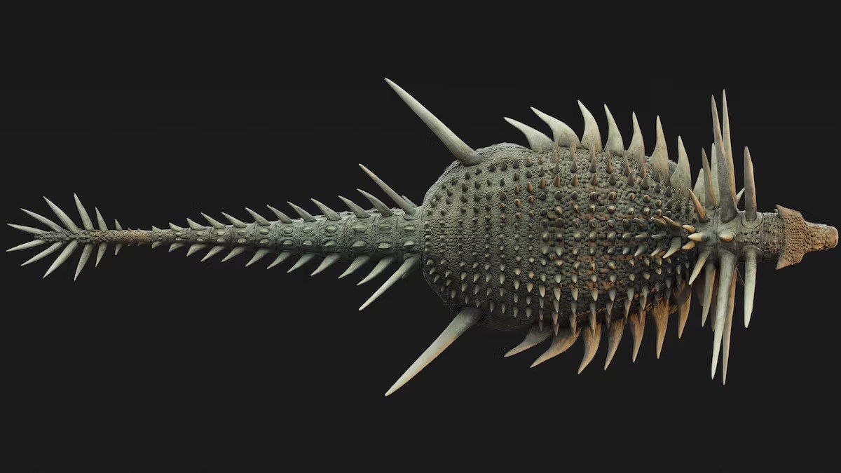 Ακίδες προεξείχαν από το κεφάλι, τα πλευρά και την ουρά του Spicomellus (Matt Dempsey via Reuters)