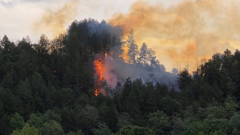 Μπουρίνι με κεραυνούς προκάλεσε 4 φωτιές στα Γρεβενά – Ήχησε το 112 στο Σύνδενδρο