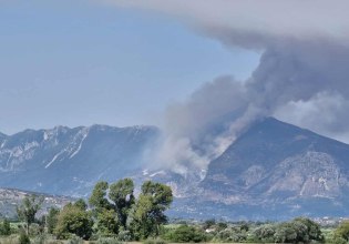 Ενισχύθηκαν οι δυνάμεις για τη φωτιά στη Χόικα Θεσπρωτίας – Επιχειρούν 9 εναέρια μέσα