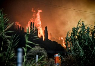Κλιμάκιο του ΠΑΣΟΚ με τον Γιώργο Παπανδρέου στις πυρόπληκτες περιοχές