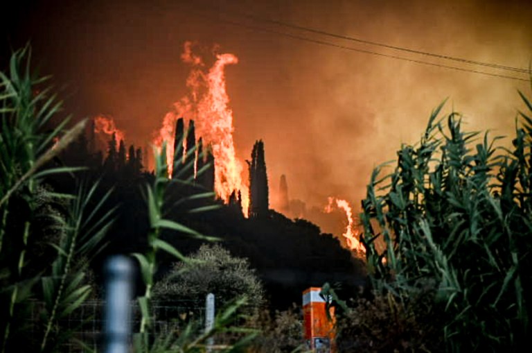 Κλιμάκιο του ΠΑΣΟΚ με τον Γιώργο Παπανδρέου στις πυρόπληκτες περιοχές