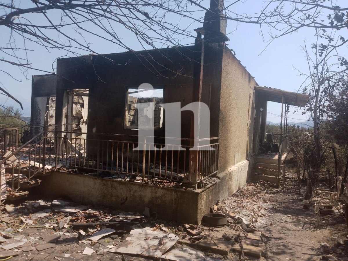 Σοκαριστικές εικόνες από τις στάχτες της Αχαΐας – Χωριά με καμένα ζώα, σπίτια και αυτοκίνητα