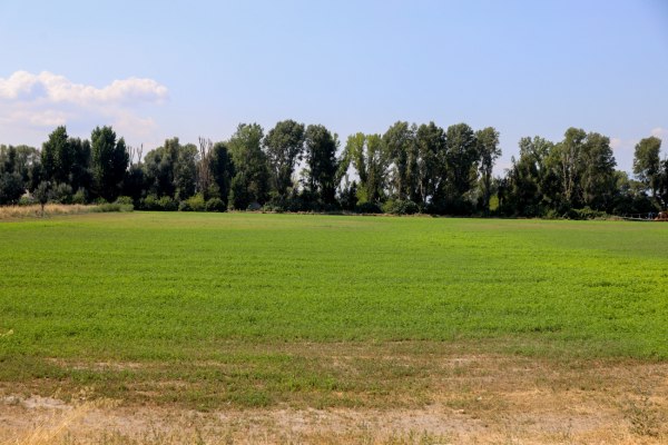 Οι έξι πληγές για τους αγρότες – Πώς και πού χάνουν εισόδημα