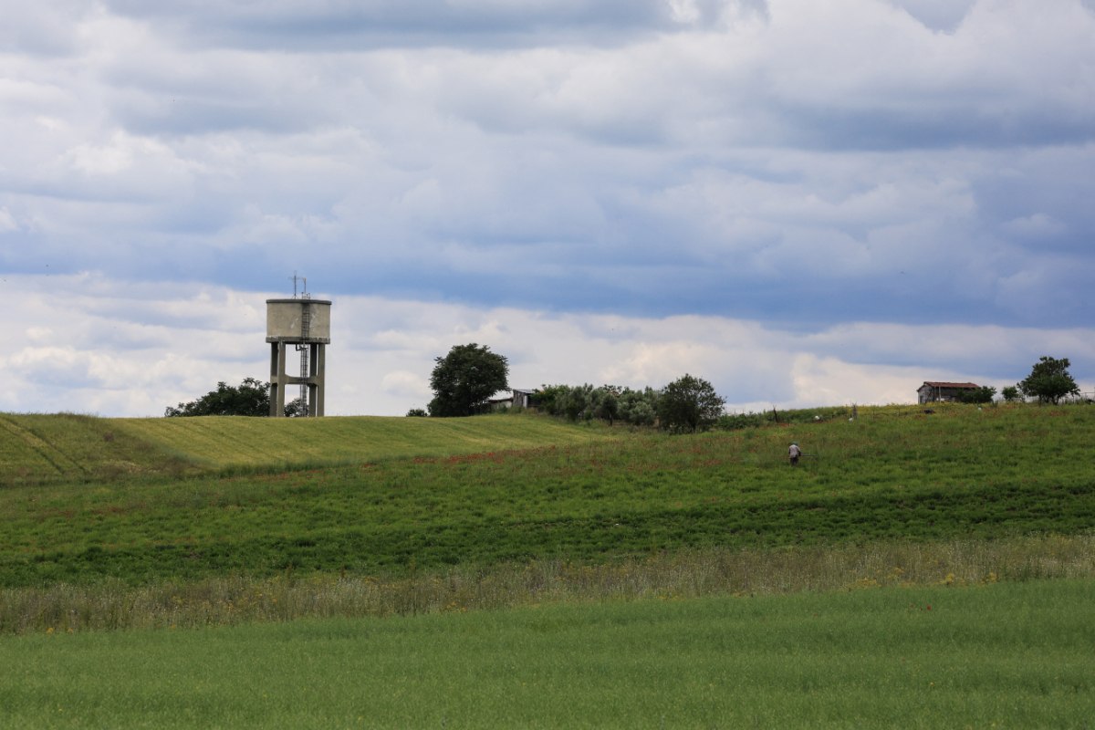 Πότε θα ξεκινήσουν οι πληρωμές των παραγωγών – Τι είπε για τις καθυστερήσεις ο Τσιάρας