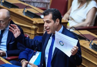 Ράπισμα από την ειδική εισηγήτρια του ΟΗΕ για τις ακροδεξιές κορώνες Πλεύρη σε σχέση με τις ΜΚΟ