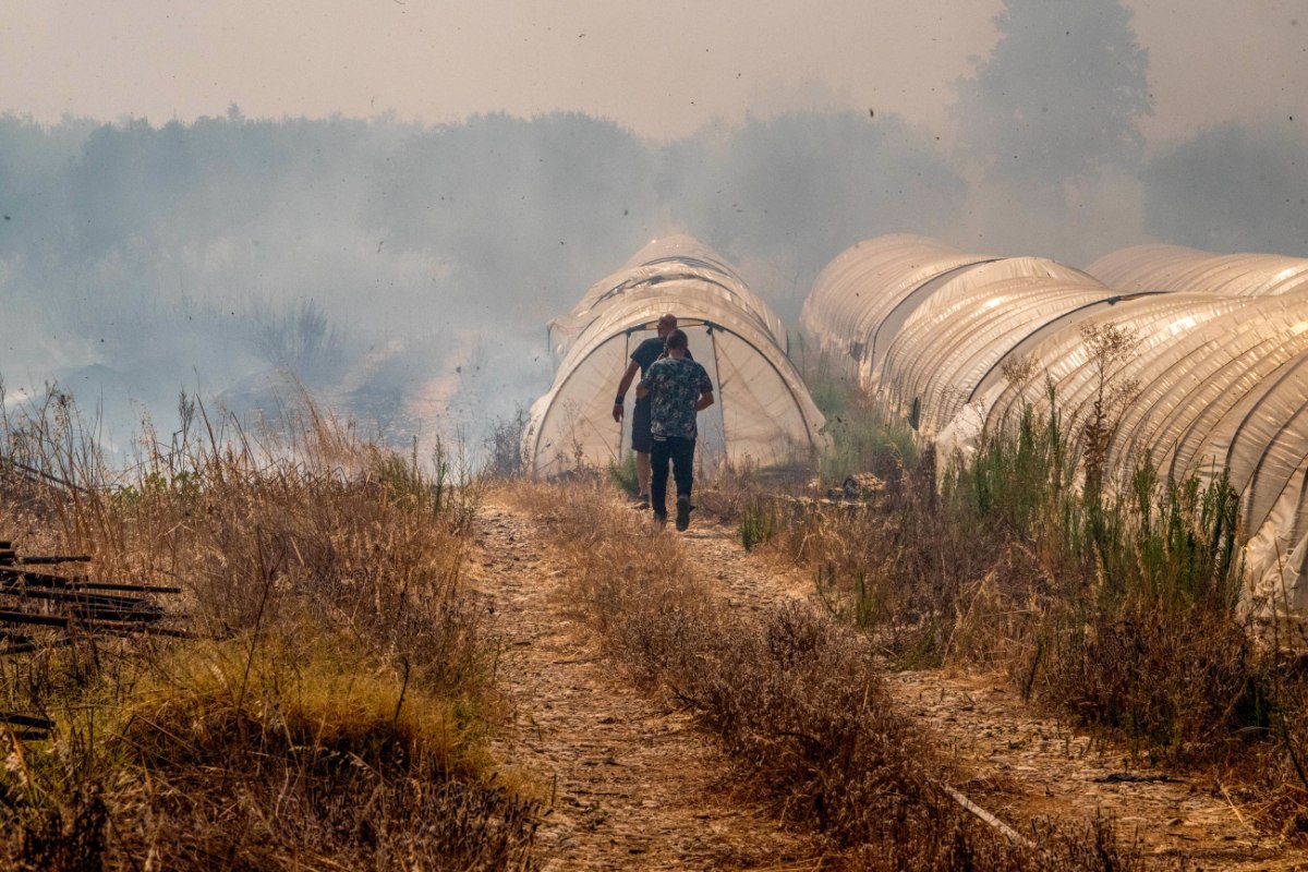 Αττική: Συνελήφθη 77χρονος για θερμές εργασίες σε δασική έκταση στον δήμο Σπατών – Αρτέμιδας