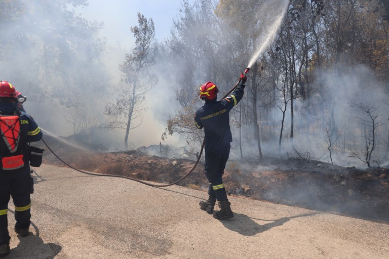 ΠΑΣΟΚ: Για ακόμη μια φορά, οι πολίτες πληρώνουν την απουσία πρόληψης στις πυρκαγιές Κερατέας και Ηλείας