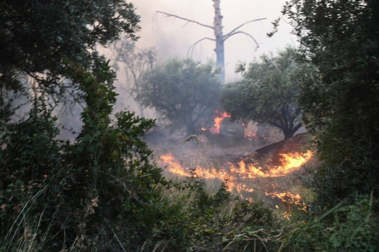 Σακελλαρίδης: Ο Μητσοτάκης «πουλάει» ασφάλεια και αφήνει στάχτες – Μόνο οργή για την κυβέρνηση
