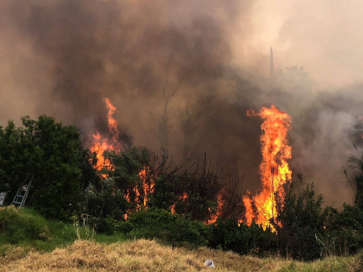 Γκιόκας για πυρκαγιές: Η ΝΔ να σταματήσει να κρύβεται πίσω από καιρικά φαινόμενα, ατομική ευθύνη και 112