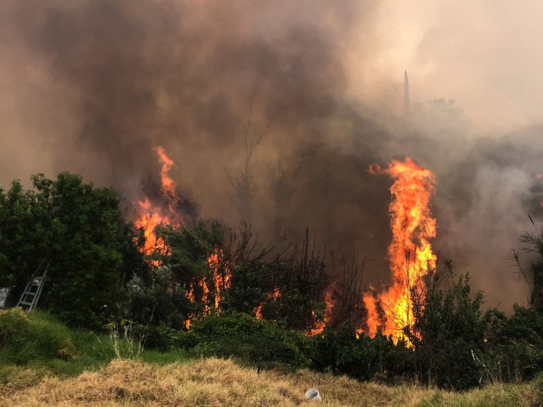 Γκιόκας για πυρκαγιές: Η ΝΔ να σταματήσει να κρύβεται πίσω από καιρικά φαινόμενα, ατομική ευθύνη και 112