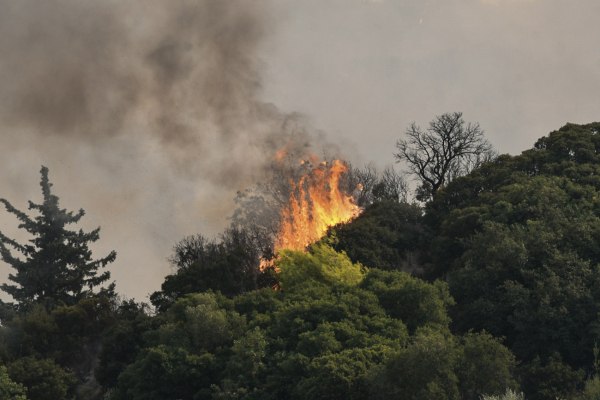 Πυρκαγιές- Ανεκδιήγητη Βούλτεψη: Η φωτιά μπήκε στην Πάτρα και φταίει η έλλειψη εθελοντών