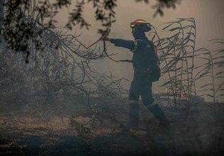 Χαρίτσης και Κασσελάκης στην Αχαΐα για τις πυρκαγιές