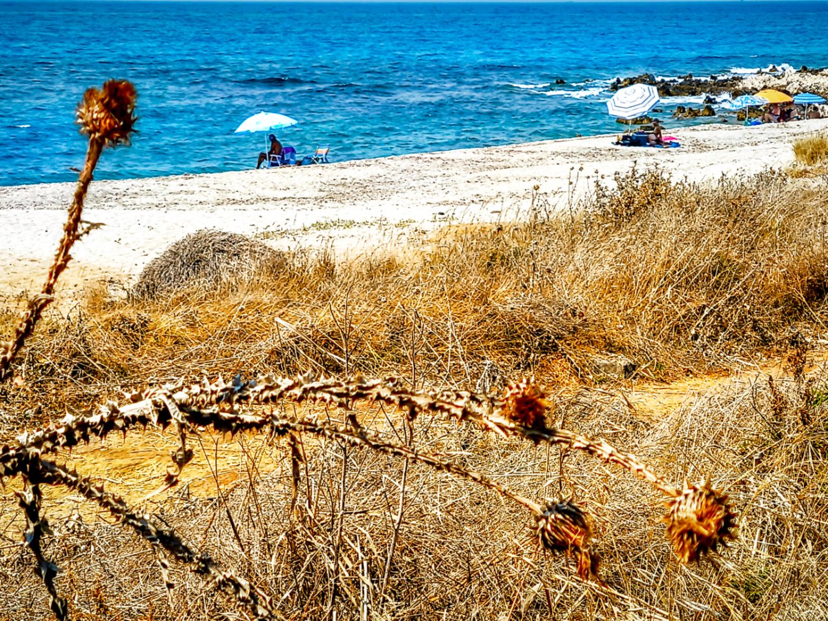 Αίθριος ο καιρός σήμερα, μικρή πτώση της θερμοκρασίας και δυνατοί άνεμοι στο Αιγαίο