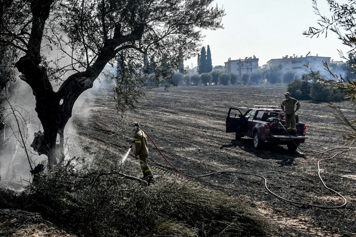 Σφοδρές αντιδράσεις για την αμετροέπεια της Βούλτεψη – «Η λύση του προβλήματος δεν θα είναι οι εθελοντές»