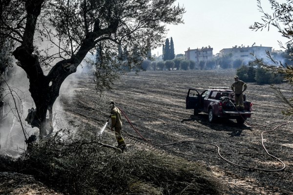 Σφοδρές αντιδράσεις για την αμετροέπεια της Βούλτεψη – «Η λύση του προβλήματος δεν θα είναι οι εθελοντές»