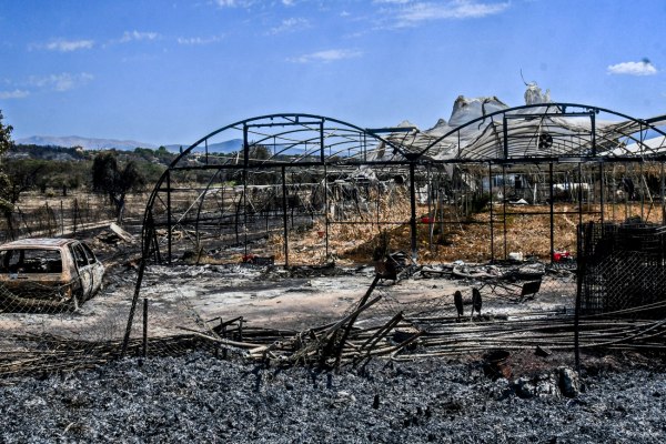 Μπιάγκης: Το ζητούμενο είναι να προλαμβάνεις στις πυρκαγιές και οι πολιτικοί να ακούμε τους ειδικούς