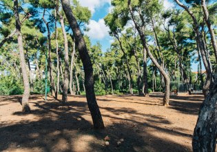 Δήμος Αθηναίων: Το Άλσος Χωροφυλακής ξανά ανοιχτό για το κοινό