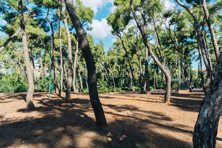 Δήμος Αθηναίων: Το Άλσος Χωροφυλακής ξανά ανοιχτό για το κοινό